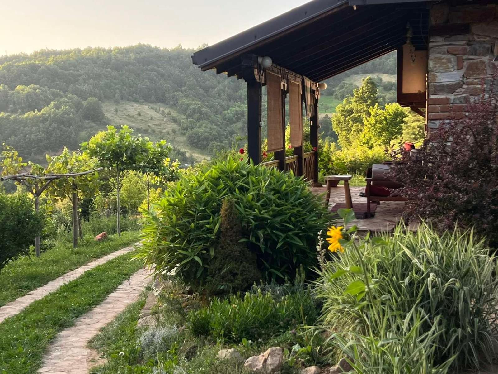 Traditional Cottage - Vila Samovila Delcevo Dış mekan fotoğraf