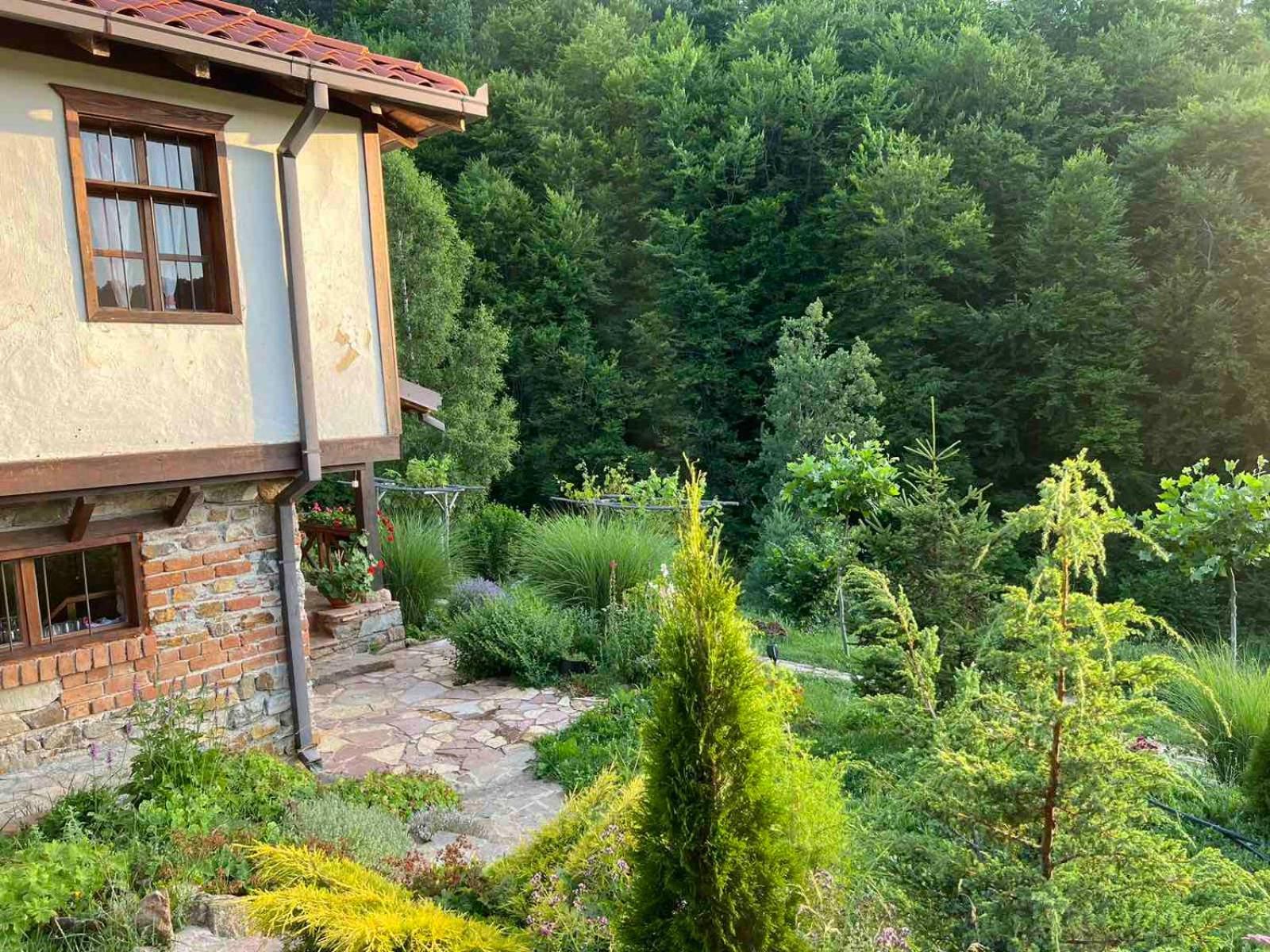 Traditional Cottage - Vila Samovila Delcevo Dış mekan fotoğraf