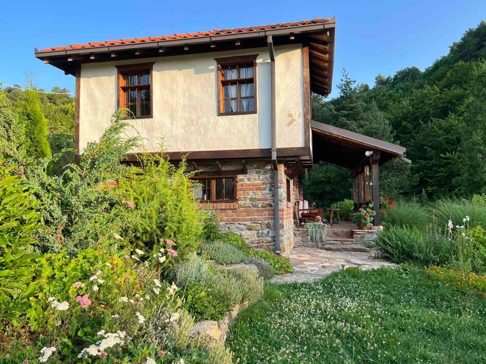 Traditional Cottage - Vila Samovila Delcevo Dış mekan fotoğraf