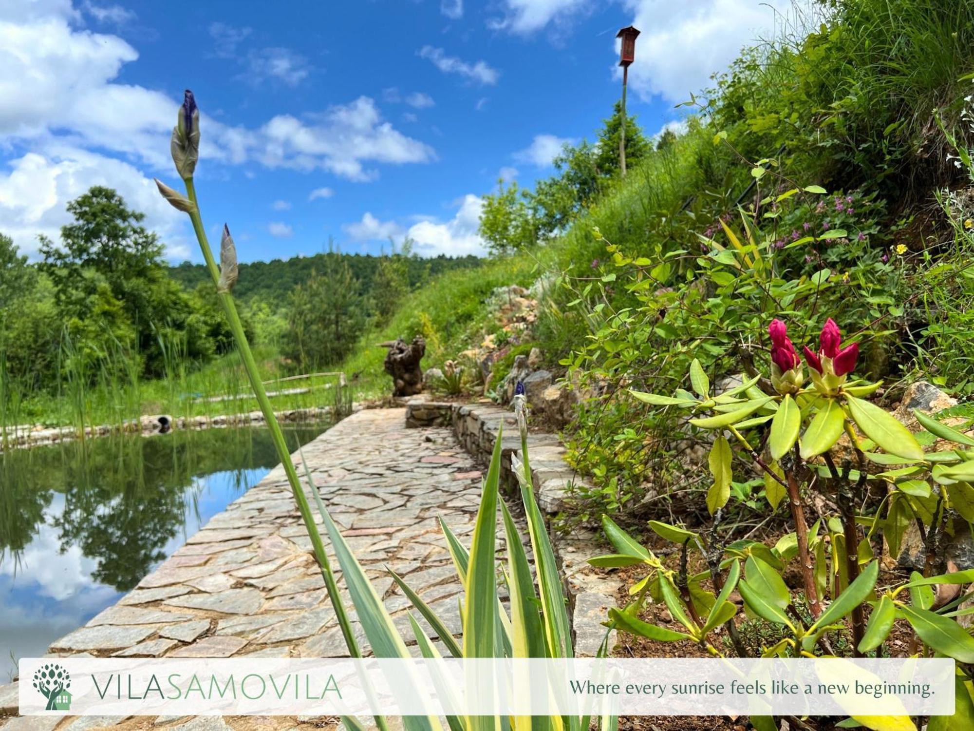 Traditional Cottage - Vila Samovila Delcevo Dış mekan fotoğraf