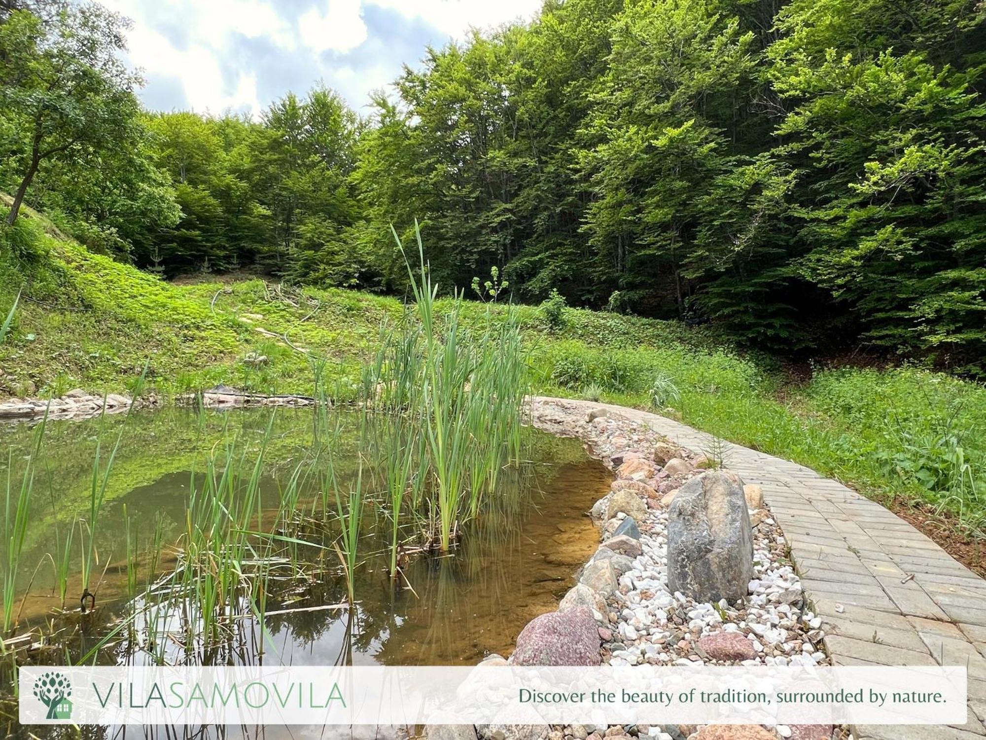 Traditional Cottage - Vila Samovila Delcevo Dış mekan fotoğraf